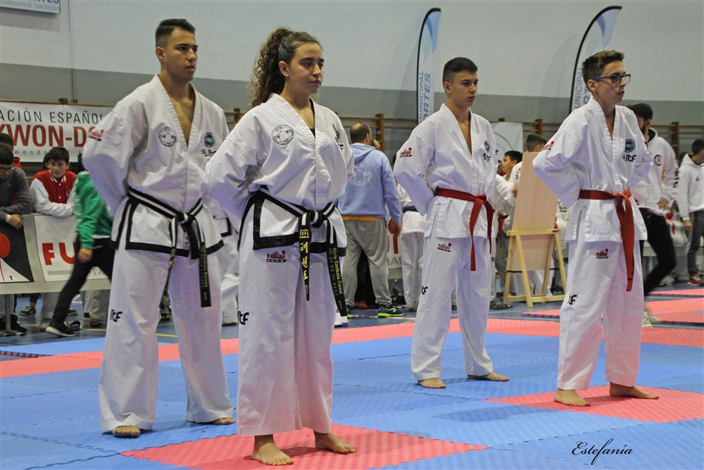 Copa Seul 2018 (352).jpg